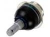 Ball Joint:2L3Z-3050-AA