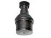 Ball Joint:F6TZ-3050-HA