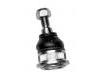 Ball Joint:60 25 308 155