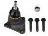 Ball Joint:113 407 361 E