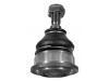 球头 Ball Joint:91504248