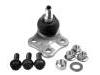 球头 Ball Joint:40 16 090 60R