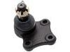 球头 Ball Joint:W628-34-550