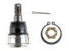 球头 Ball Joint:54500-F4600#