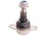 Joint de suspension Ball Joint:31 10 6 787 665